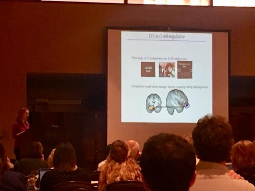 Dr. Silvers presenting at ISDP